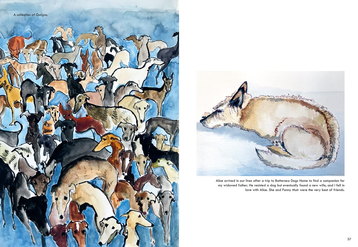 Rescue Dogs: A beautiful portraiture book of man’s best friend, the perfect gift for artists and pet lovers alike