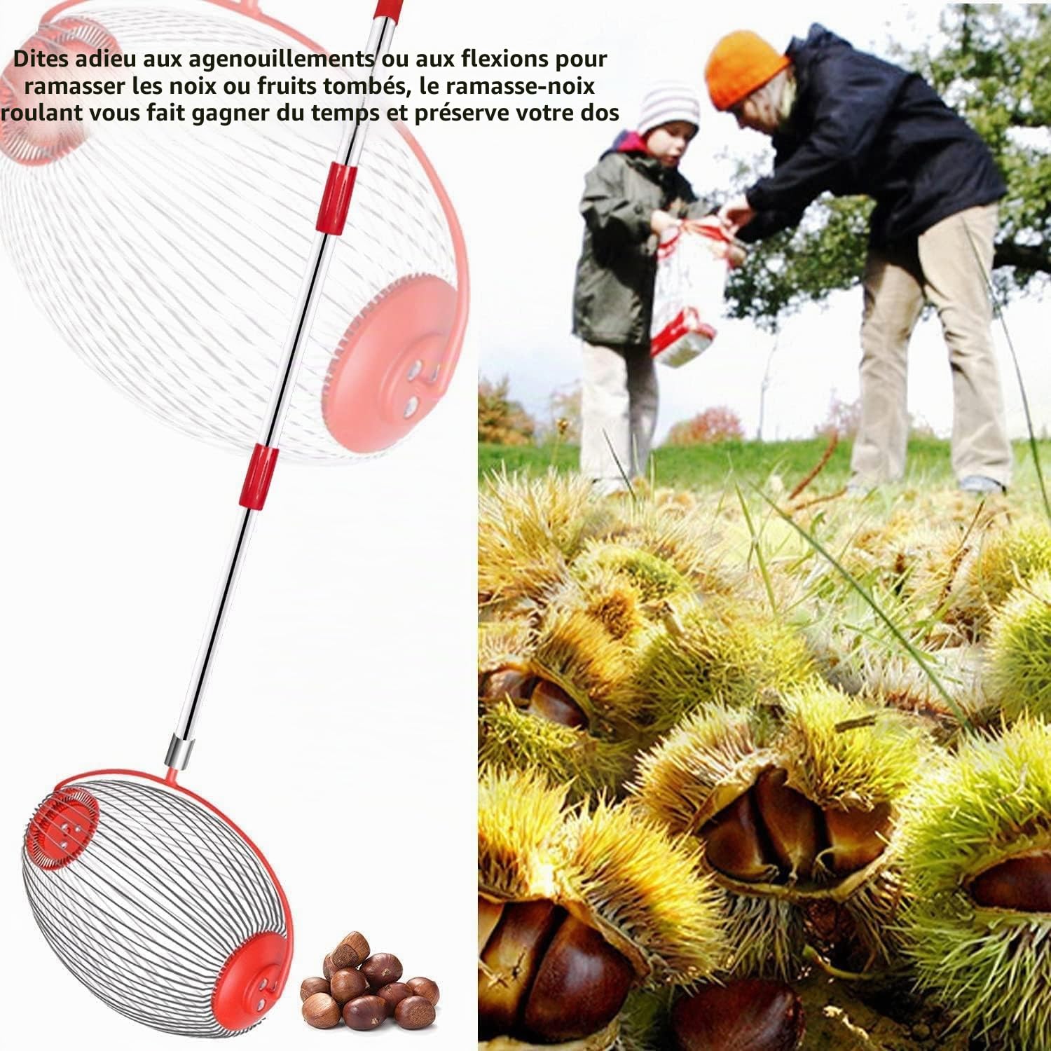 LEJIEYIN Grand Collecteur de Noix Réglable et Léger pour L'extérieur, Rouleau Ramasse Noix Acier Inoxydable Outils de Jardinage pour Fruits Ferme Famille