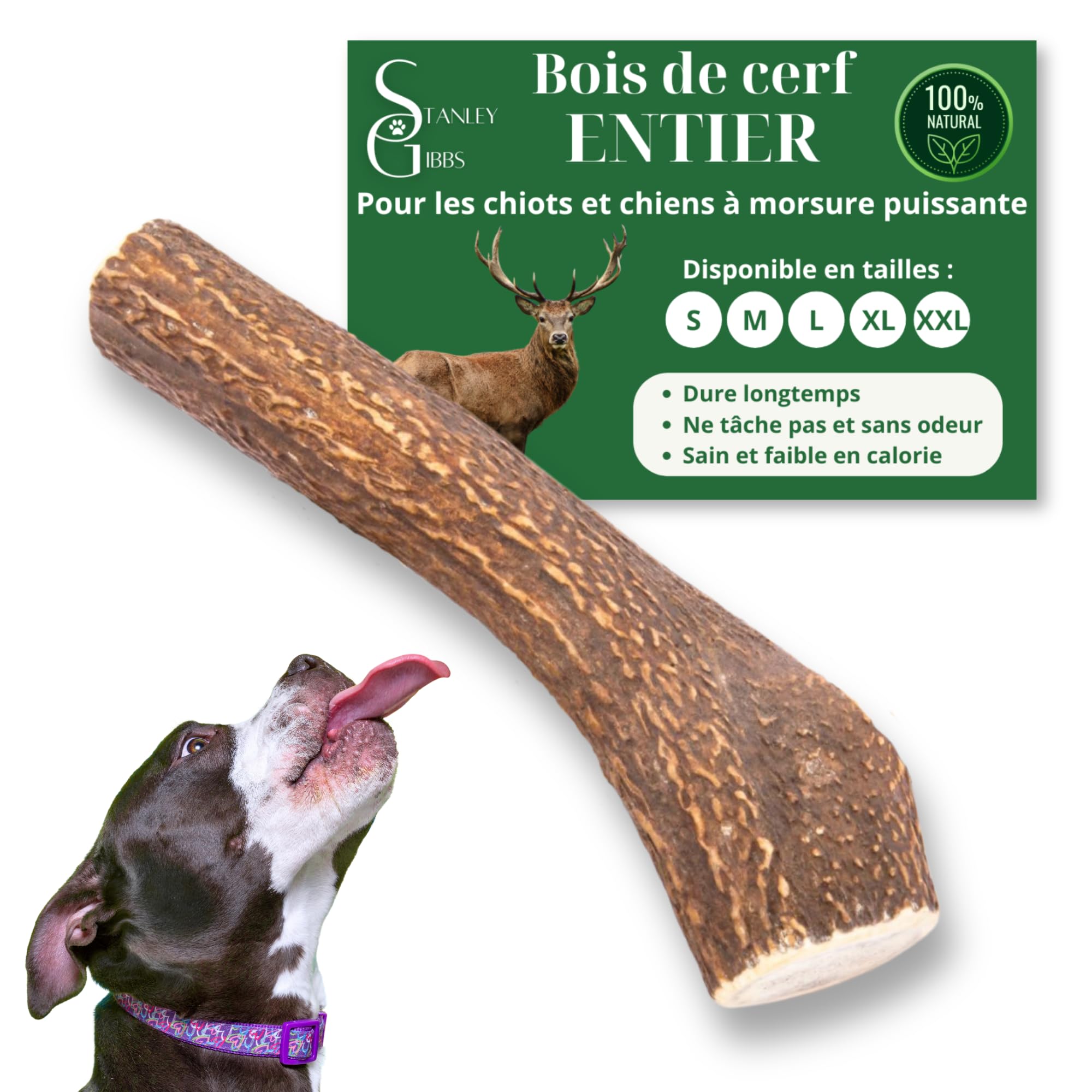 Bois de cerf pour chien : la solution anti-ennui et tartre pour chiot