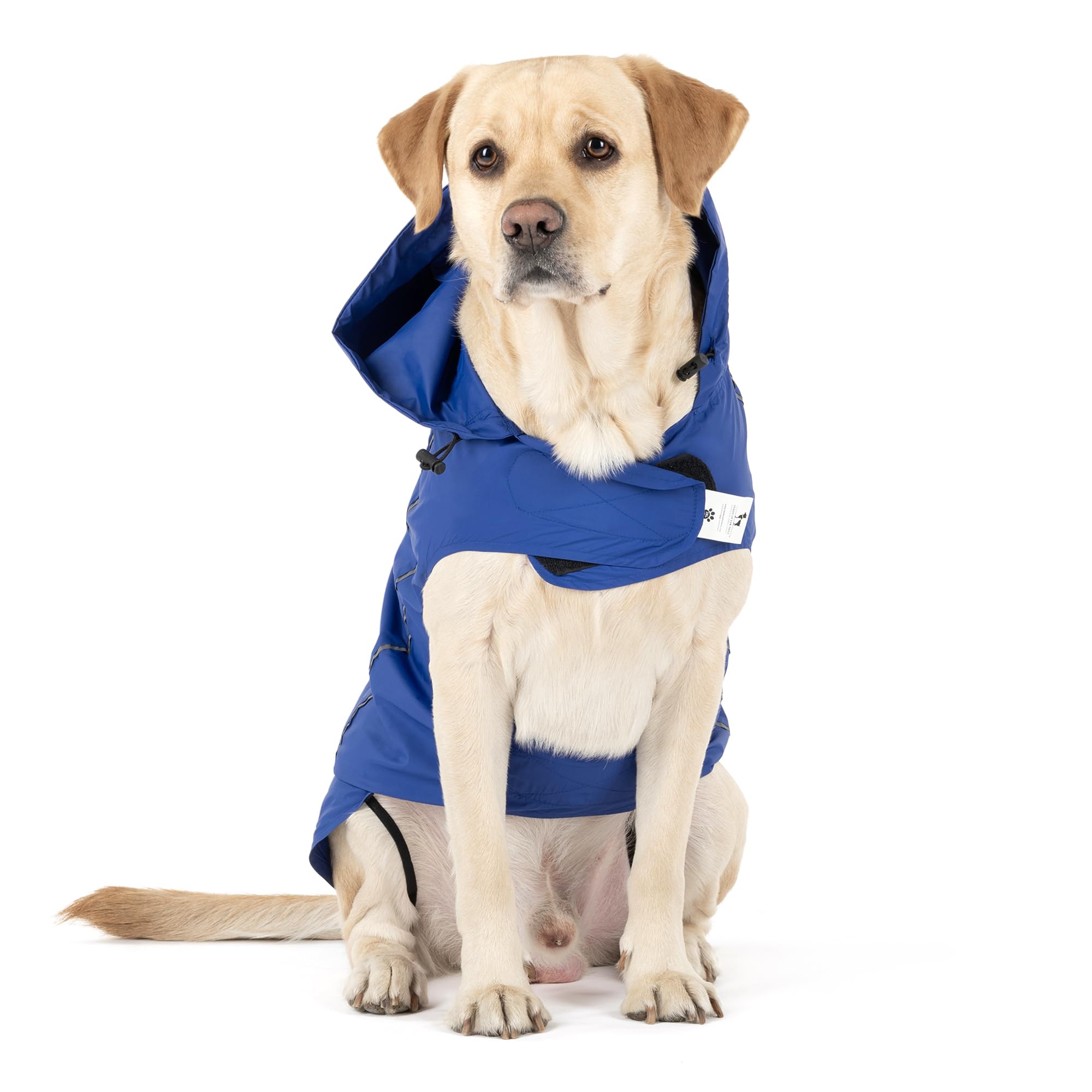Heads Up For Tails Rain Dancers Raincoat For Pets (3Xl, Blue), Dog, Pack Of 1 (B0D2HG6QCV) Amazon Price History, Amazon Price Tracker