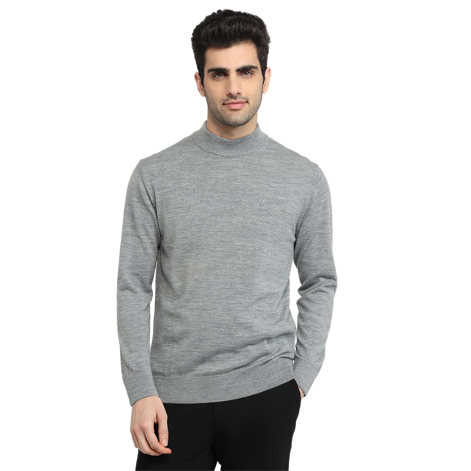 colorplus Men Regular Fit Plain Pattern Marino Wool Acryalic Blend Full Sleeve V Neck Casual Sweater-picture-34