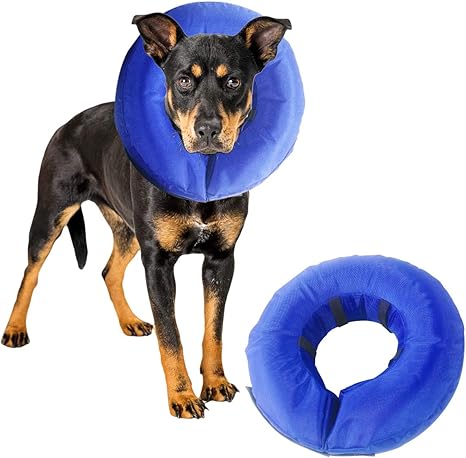 dog neck donut