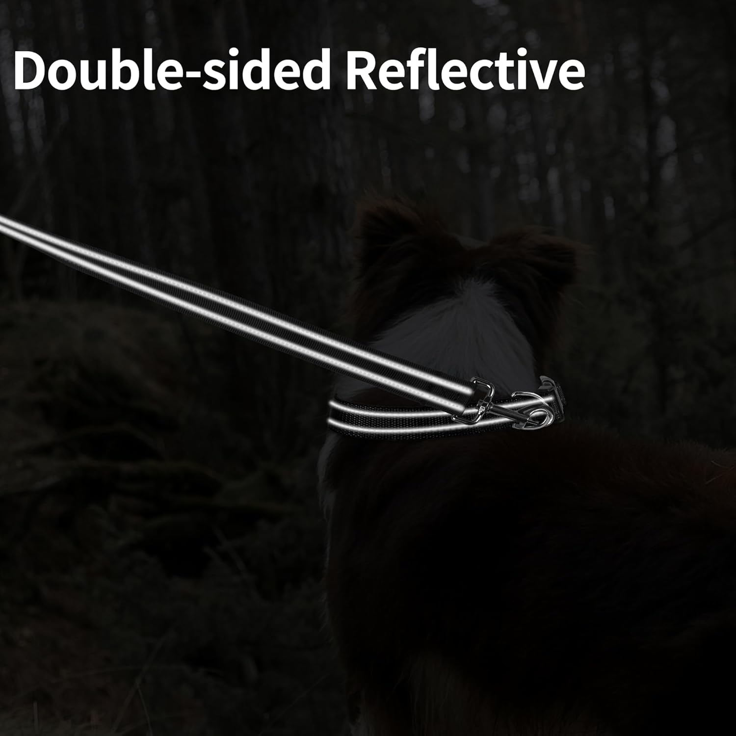 Double-Sided Reflective Nylon Dog Leash, //, Soft Padded Handle Heavy Duty