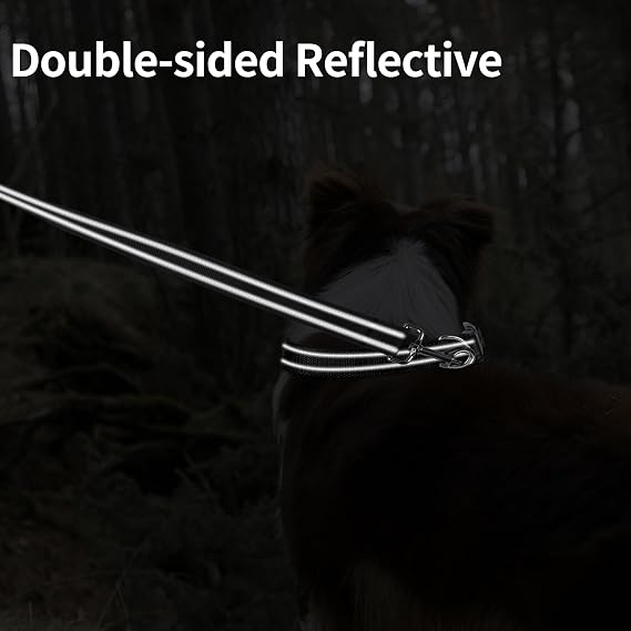 Double-Sided Reflective Nylon Dog Leash, 6 FT/4 FT/5 FT(Black, 6FT)