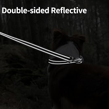 Double-Sided Reflective Nylon Dog Leash, 6 FT/4 FT/5 FT(Black, 6FT)