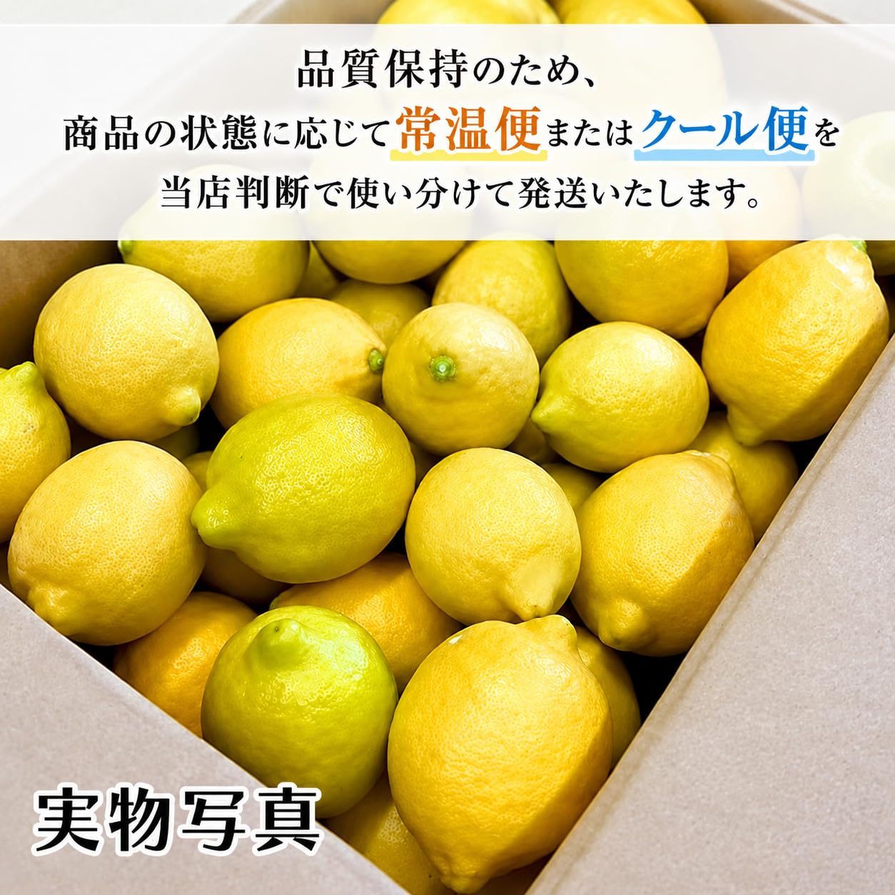 Amazon.co.jp: [みさわのやさい] レモン 国産 訳あり 3kg 皮まで食べ