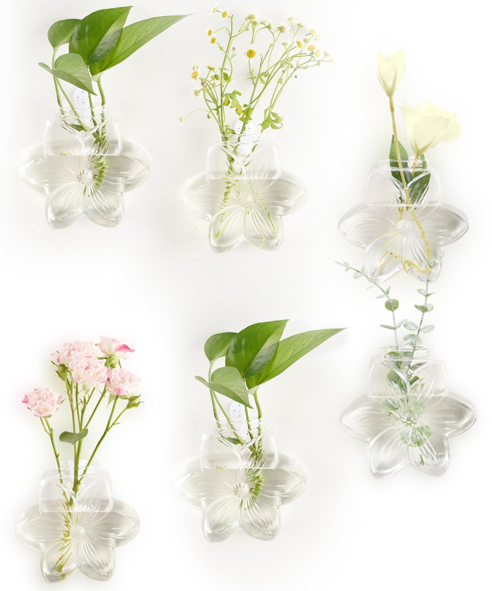 Flower Plant Tetrarium 6 pack
