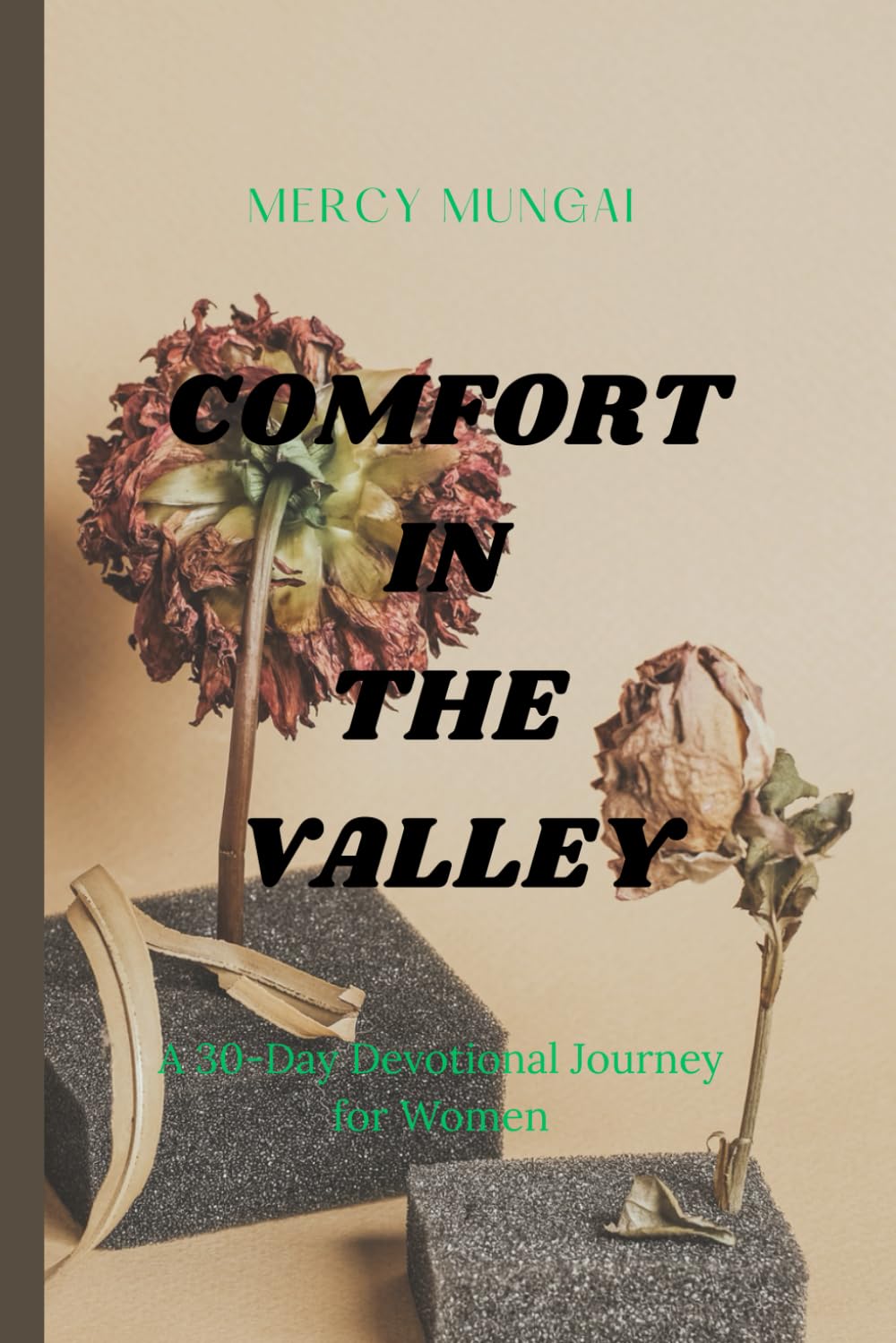 COMFORT IN THE VALLEY: A 30-day devotional journey through Psalm 23 for women walking through difficult seasons, offering gentle companionship, honest prayer, and restored hope.