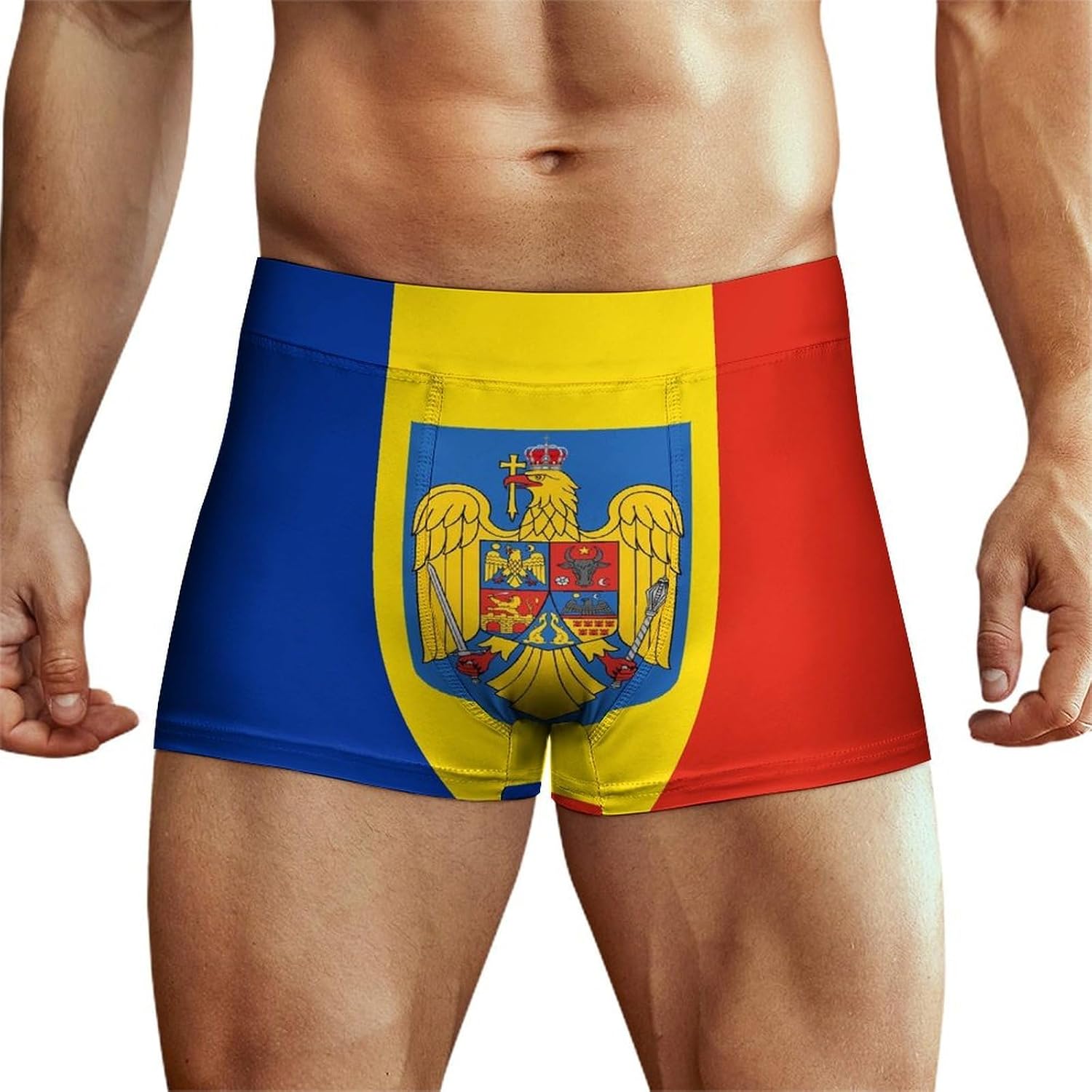 Romania Flag Romanian Coat of Arms Men's Underwear Boxers Briefs for Men Stretch Shorts