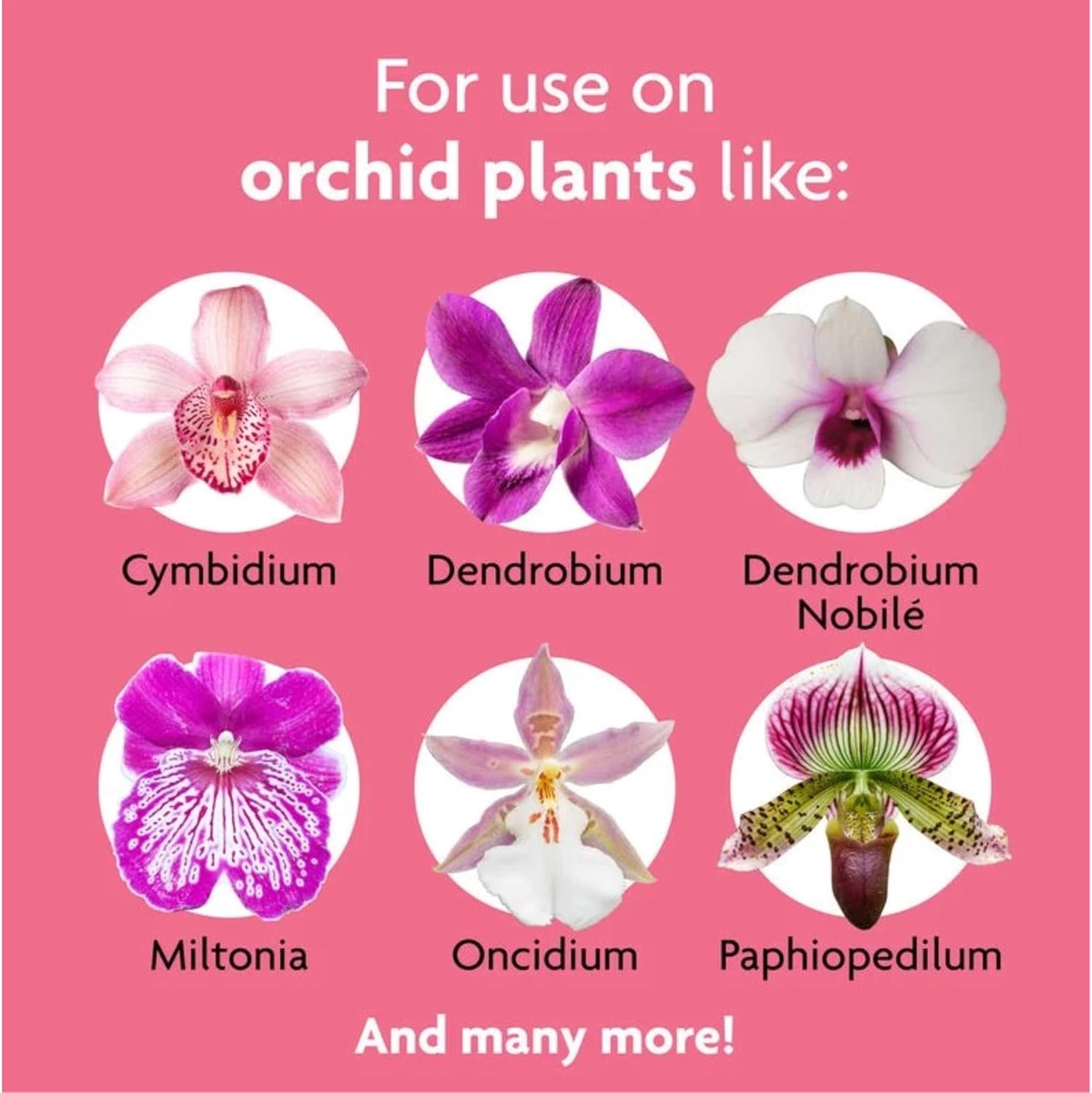 Miracle-Gro Orchid Plant Food Mist 8 oz. (Pack of 6)