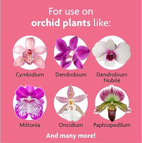 Miniatura 4 de Miracle-Gro Orchid Plant Food Mist 8 onzas (paquete de 6)