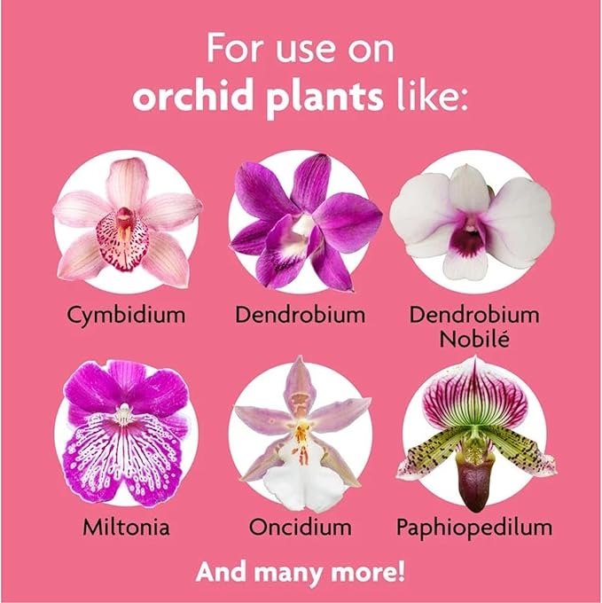 Miracle-Gro Alimento para Orquídeas en Spray 8 oz Pack de 6 miniatura 4