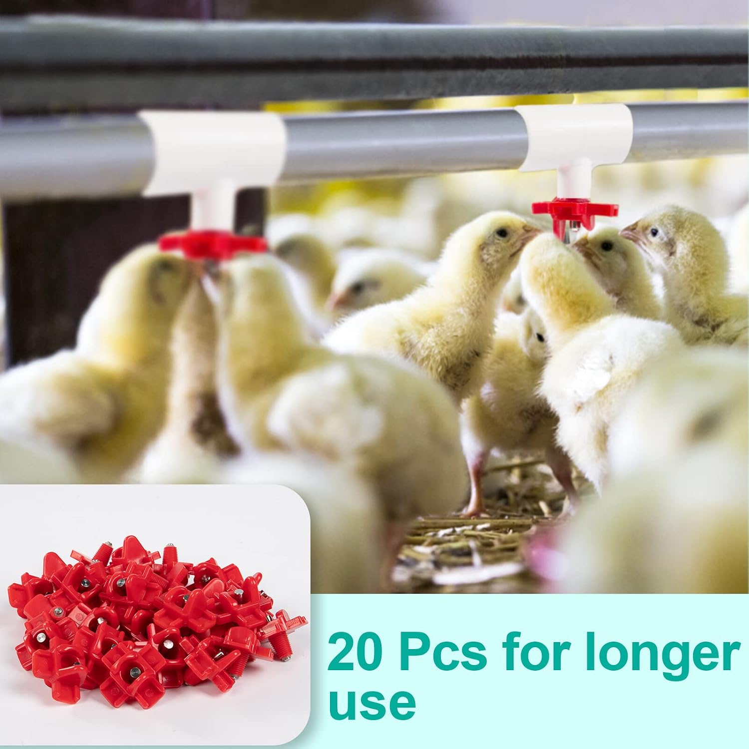 MEWTOGO 20 Pack Horizontal Chicken Nipples Waterer Automatic Poultry Nipples Horizontal Side Mount Chicken Drinkers for Chicken Quail Duck