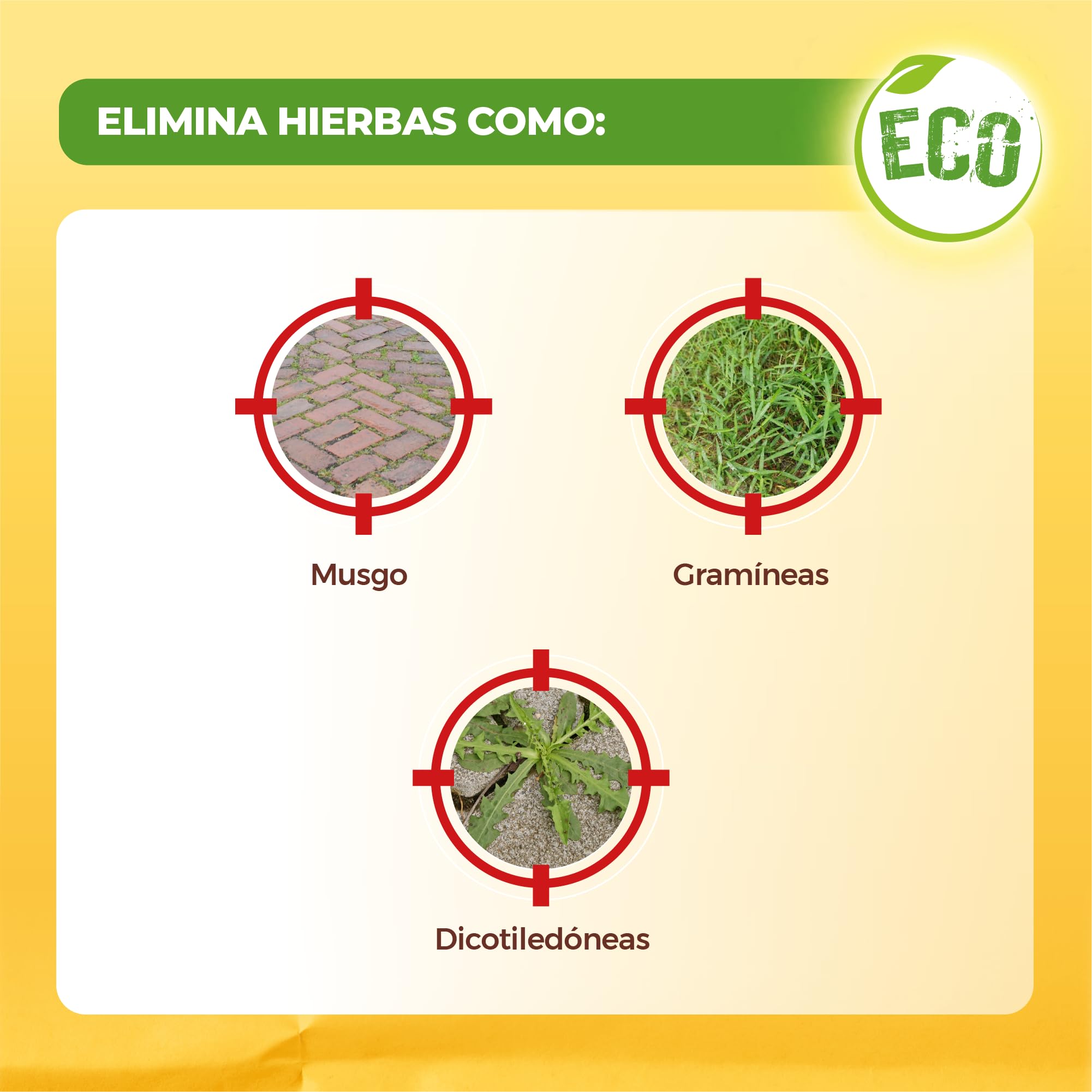 Solabiol, herbicida orgánico completo listo para usar, herbicida para malas hierbas y musgo con efecto desecante, ideal para calzadas y bordes, 3L