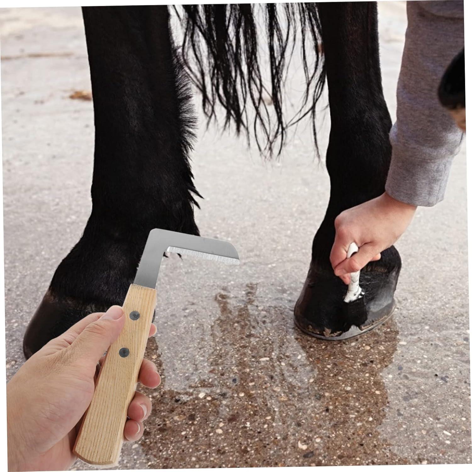 Animal Hoof Trimmer Tool Cattle Sheep and Donkeys Lightweight Portable Hoof Repair Cutter for Easy Trimming Durable Horseshoe Cutting Tool for Livestock Care