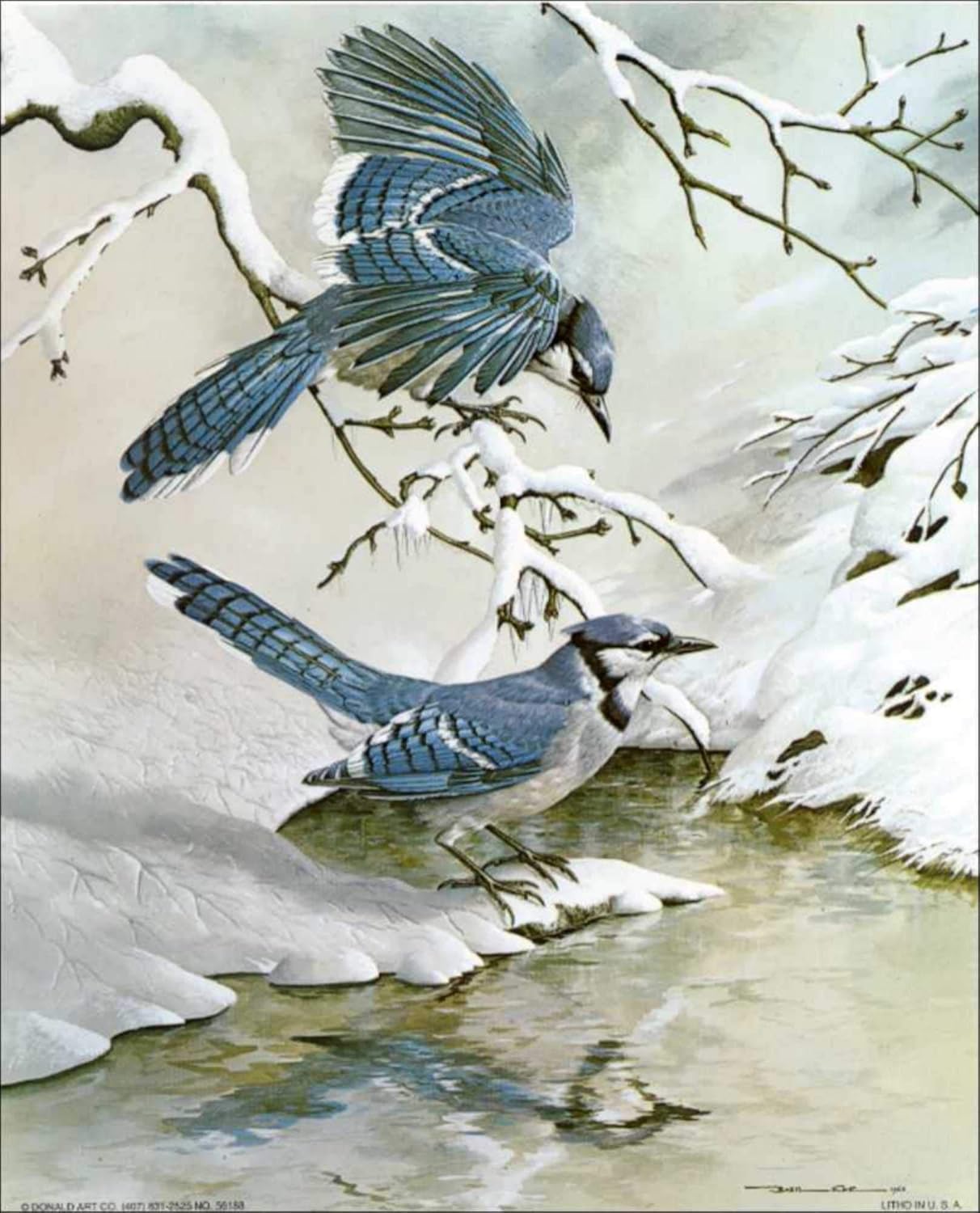 Blue Jay Birds in Winter Snow - Paper Tole 3D Decoupage Craft Kit Size 16x20 inches 6188 (The Additional Pictures Show Examples This Craft Kit Assembled and Framed in a Shadow Box Frame)