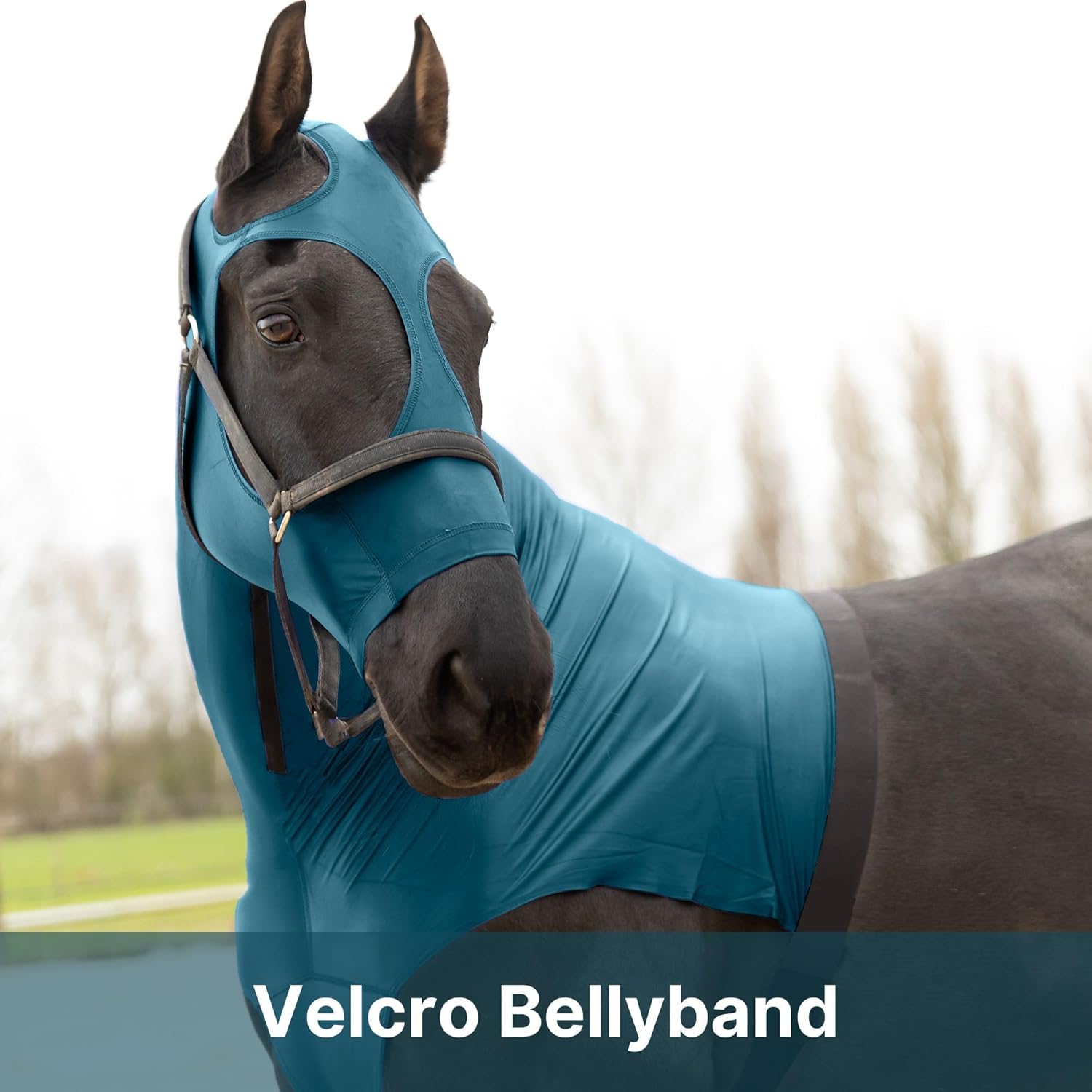 RESISTANCE Premium Horse Hood Pull-On with Face - Horse Sleazy Slickers and Horse Care Sheet