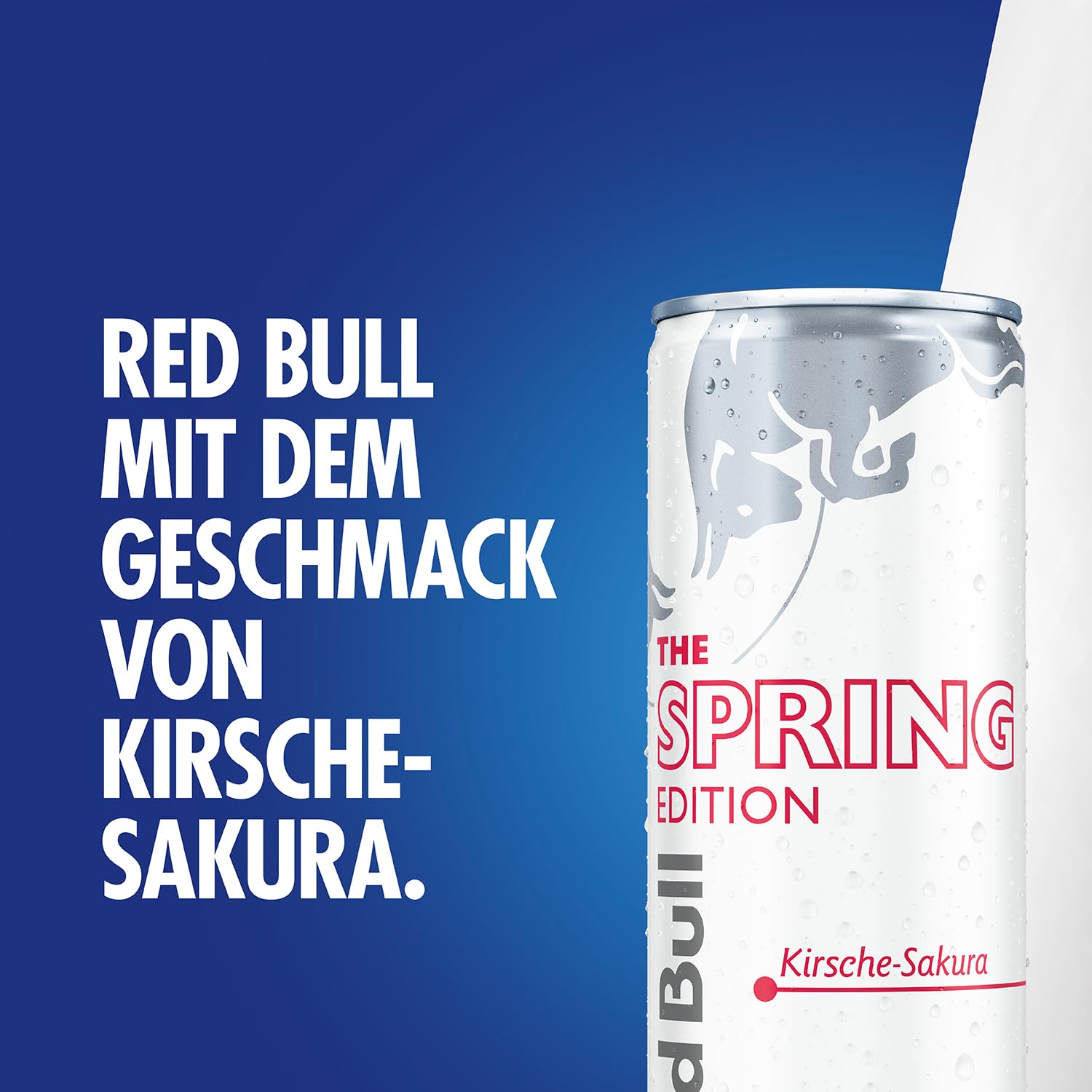 Red Bull Energy Drink Spring Edition, Kirsche-Sakura, 24 x 250ml EINWEG