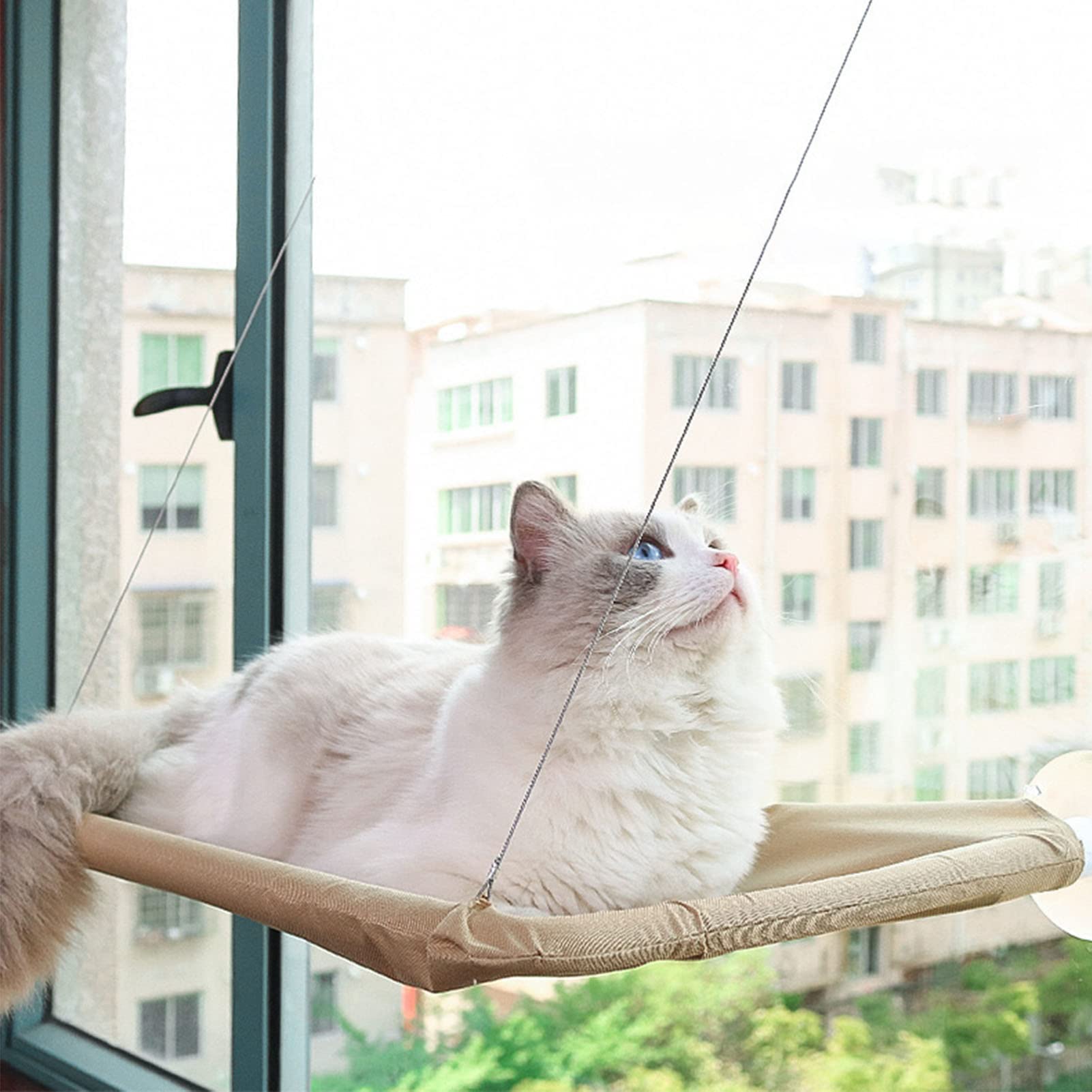 Grote Katten Hangmat - Raambed Binnen Zonnebaden - Katten Vensterbank Zitstok Met Zuignappen Kittenbedden Plank Grijs L71 B19 H9 Cm
