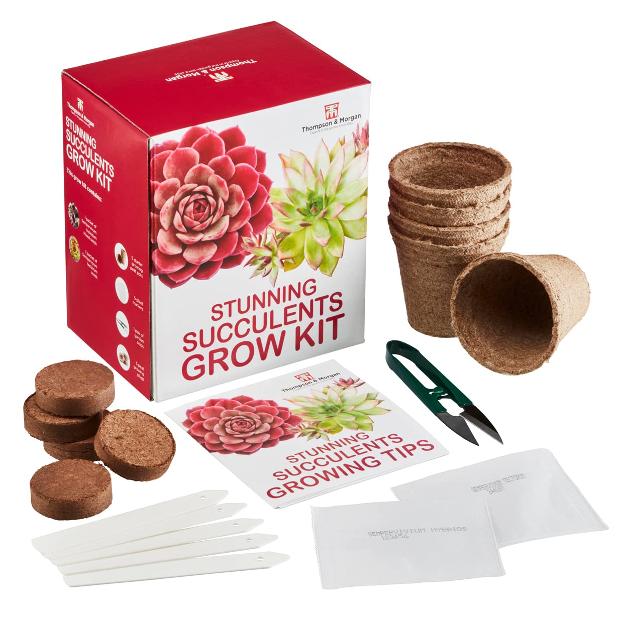 Thompson & Morgan Stunning Succulents Sempervivum Complete Growing Kit Easy to Grow Succulent Gift Gardening Present
