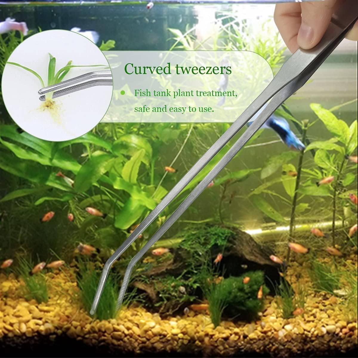 Pinces Courbées Longues de 27 cm 2 pièces, Outils d'Aquarium et de Terrarium, Pinces d'alimentation pour Reptiles, Plantes Aquatiques et Terrarium
