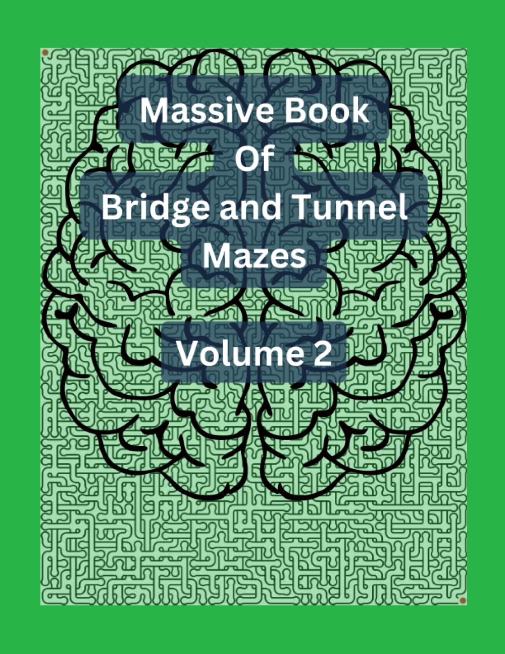 The Massive Book Of Bridge And Tunnel Mazes: Volume 2 (Brain Run)