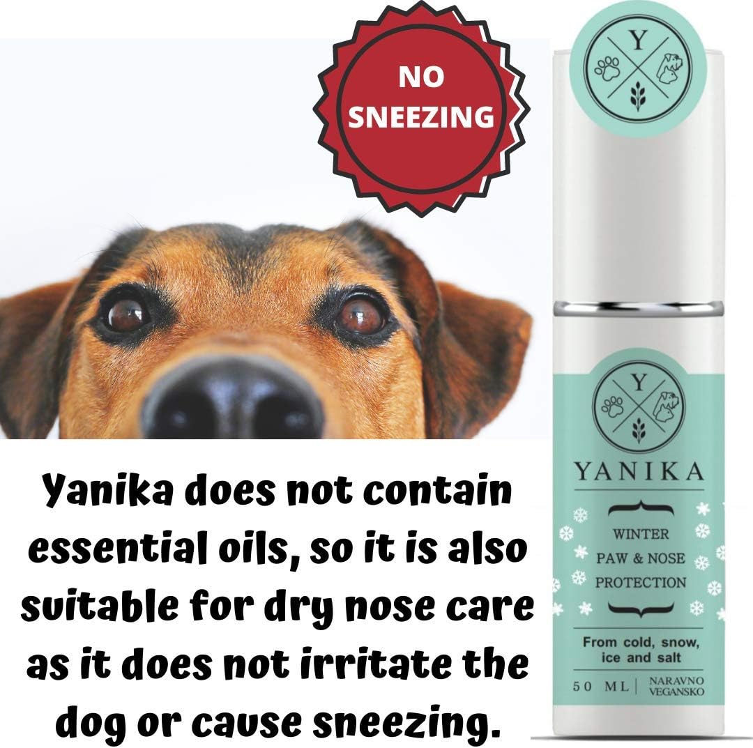 Is Vaseline Good For A Dogs Dry Nose