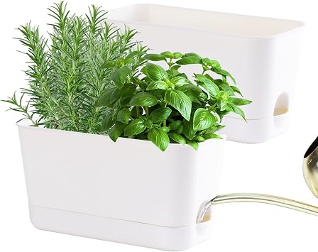 Oliz Self Watering Planters 2 Packs Rectangular Plant Pots with with Drainage and Tray, 10 Inch Window Pot Self Watering Planter for Herb, Houseplants