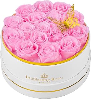 Preserved Roses Forever Flowers Real Roses in a Box Mother's Day Birthday Flowers for Her Mom Women Wife Valentine's Day, 16 Light Pink Roses