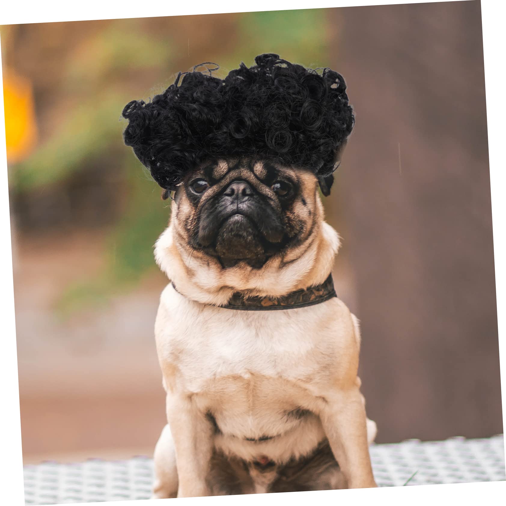 5pcs Pet Pelucas Pequeñas Pelucas para Mascotas Perros Cosplay Peluca Pelucas Afro-Pelucas para Cachorros Mascotas Disfraces Prop Mascota Perros Accesorios Transformación Traje de Perro