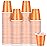 Roshtia 100 Pack 2 oz Christmas Plastic Shot Cups, Mini Disposable Shot Glasses 2 oz Party Cups for Wedding Christmas Winter Party, Beer Taste Serving, Snacks(Orange)