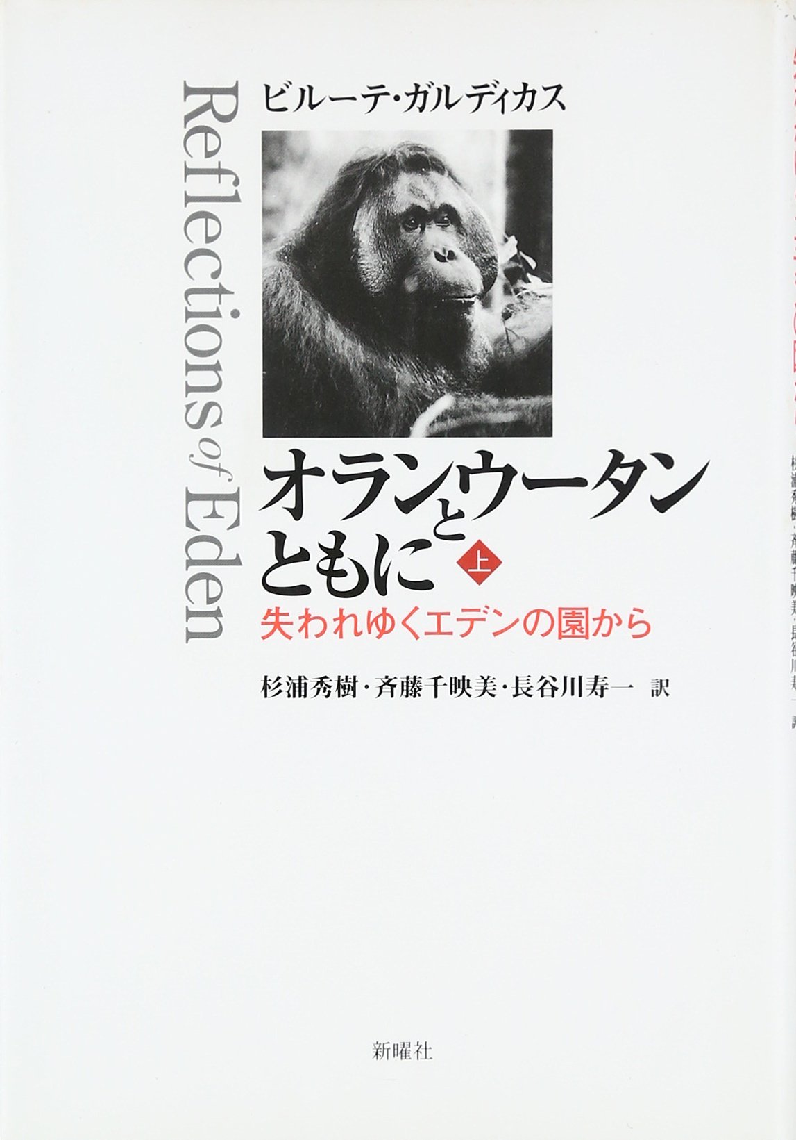 E.モラン自伝 : わが雑食的知の冒険 E.モラン自伝 : わが雑食的知の冒険 楽天ブックス: E.モラン自伝