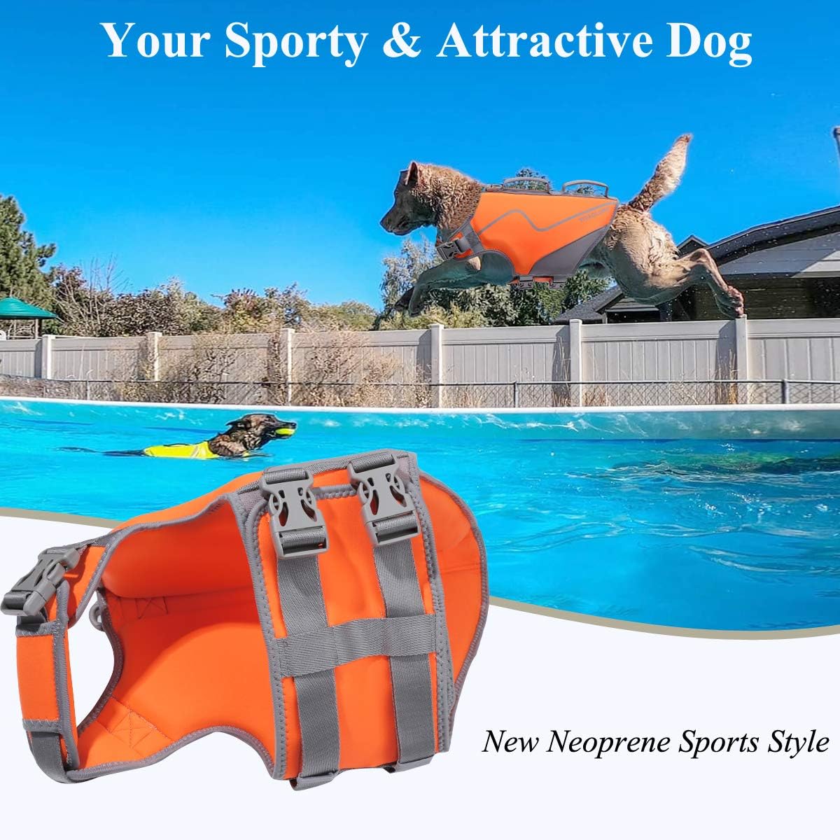Chew-Proof Dog Leash + Dog Life Jacket
