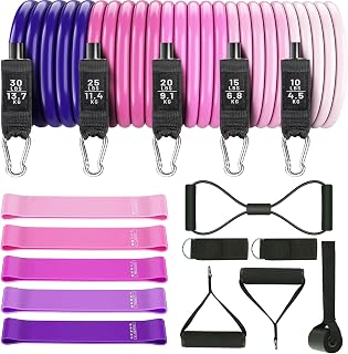 Resistance Bands Set 17pcs, Resistance Band, Exercise Bands Fitness Workout with Wide Handles, Door Anchor, Steel Clasp, Carry Bag, Ankle Straps for Home Gym Outdoor Travel