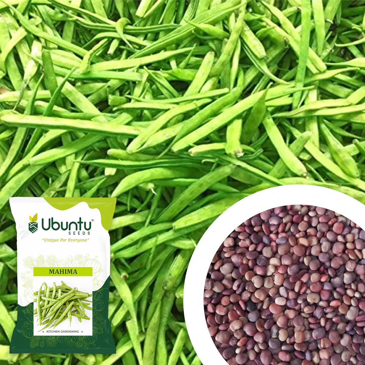 Mahima Cluster Bean Seeds – Perfect for Kitchen Gardening-image-45