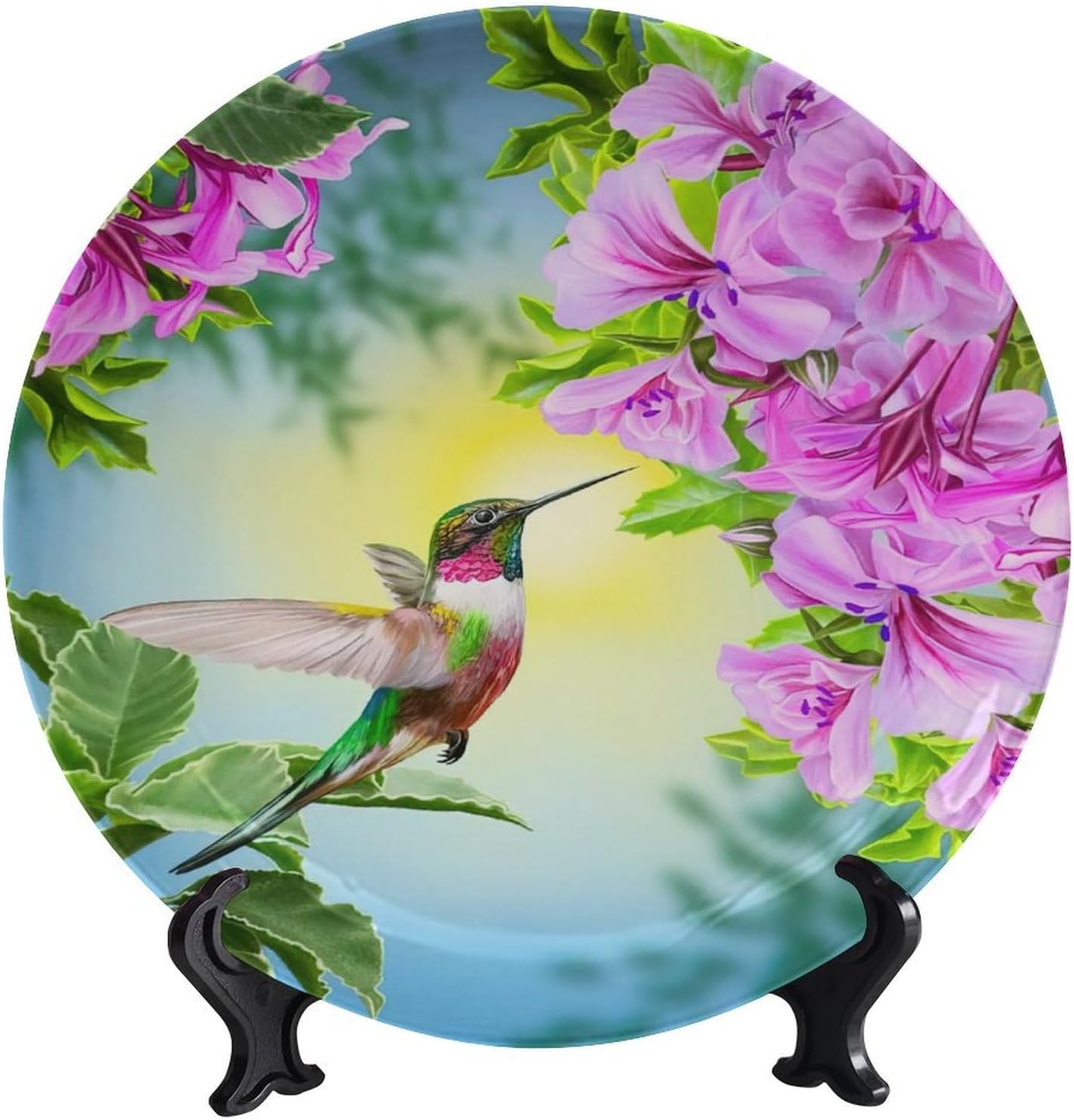 Amazon.com: Floral Decorative Ceramic Plates, 8 Inch, Bird Hummingbird ...