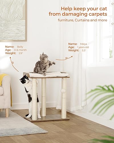 Miniatura 2 de FourFurPets Condo de torre de árbol para gatos de 22 pulgadas, postes rascadores para gatos de interior, placa grande, tres postes rascadores de