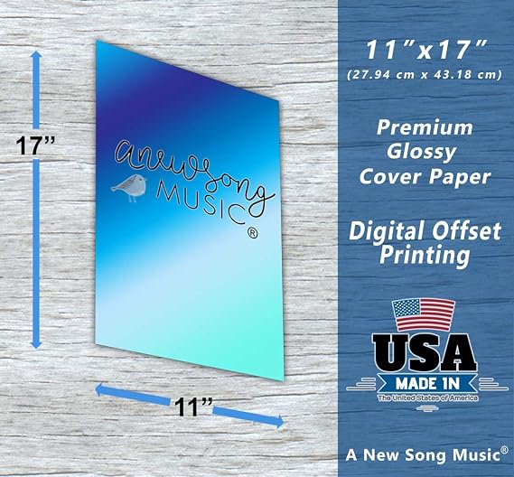 Dobro G Tuning Resonator Guitar Fretboard Note & Rolls Chart - Beginners & Intermediate Instructional Easy Poster Chords 11x17 | A New Song Music