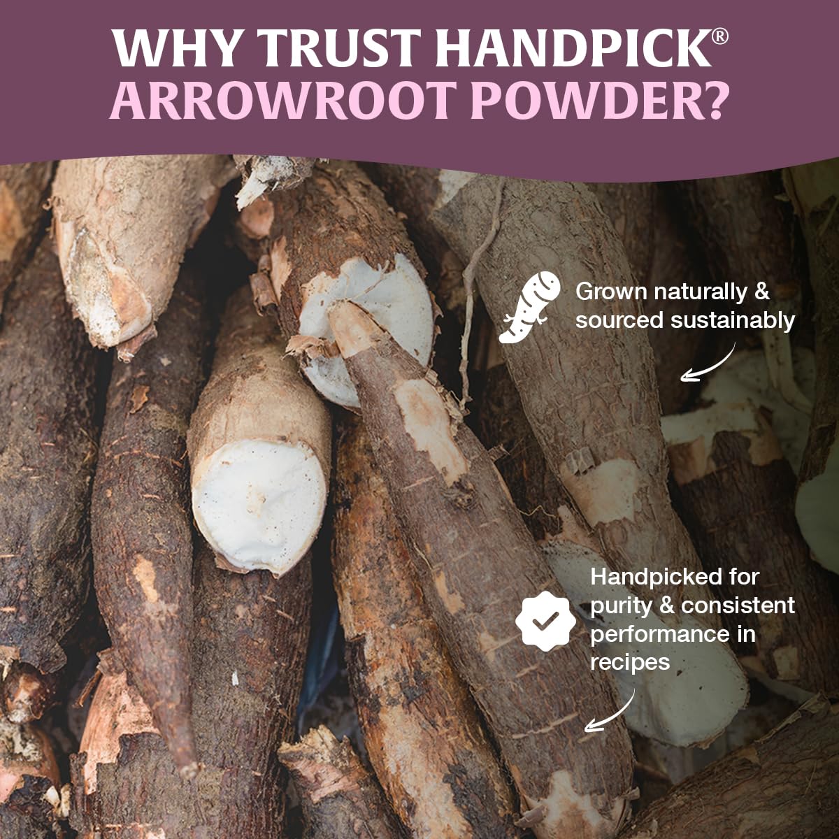 HANDPICK Arrowroot Powder(14oz) Cornstarch/Wheat Flour Thickener Substitute image 5