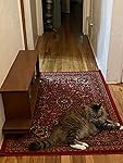 Review Image by Amazon Customer