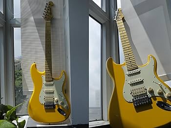 Amazon.com: Bullfighter Electric Guitar for Music Lover