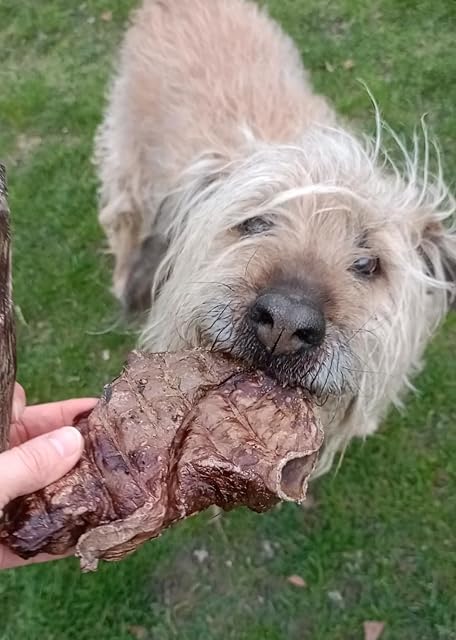 Foto 5 de 8 de Pulmón de vacuno seco para perros - aperitivo masticable natural - carne seca - carne seca