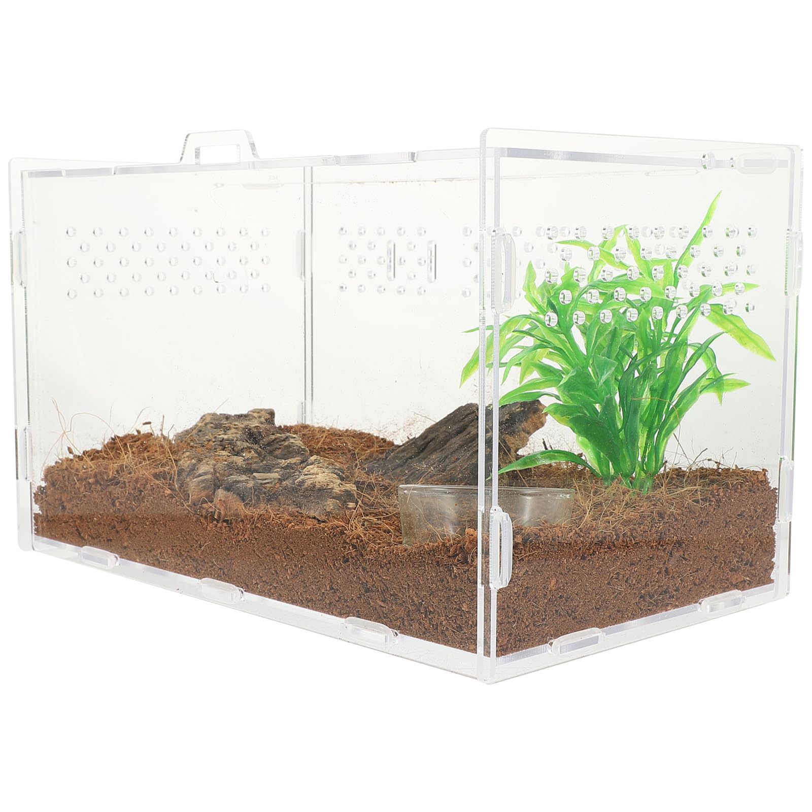 Terrario Acrilico Trasparente per Rettili e Aracnidi Ventilazione, Vasca da 25x15x15 Cm per Lucertole, Ragni, Scorpioni e Piccoli Animali Esotici