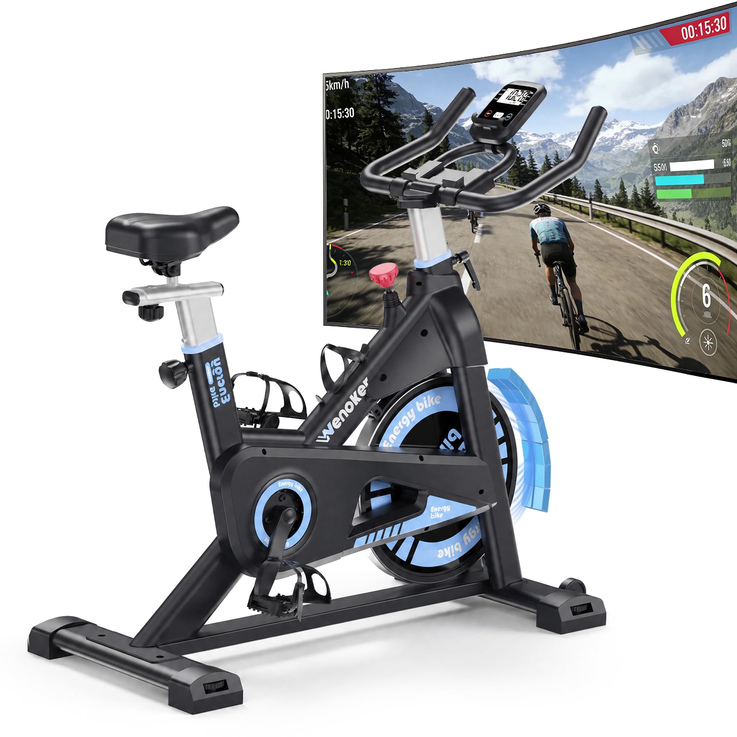 Exercise Bike with Magnetic Resistance, Indoor Fitness Bike, Exercise Bike, Cardio Training, Fitness Bikes, Home Trainer, Bicycle, 160 kg Load Capacity