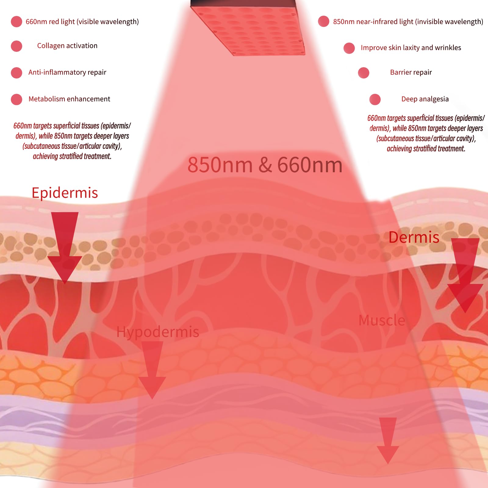 Lámpara de panel de terapia de luz roja de 30 W y 100 LED, infrarrojo cercano, longitudes de onda duales de 660 nm y 850 nm, brillo ajustable con temporizador para cuerpo completo, altura ajustable