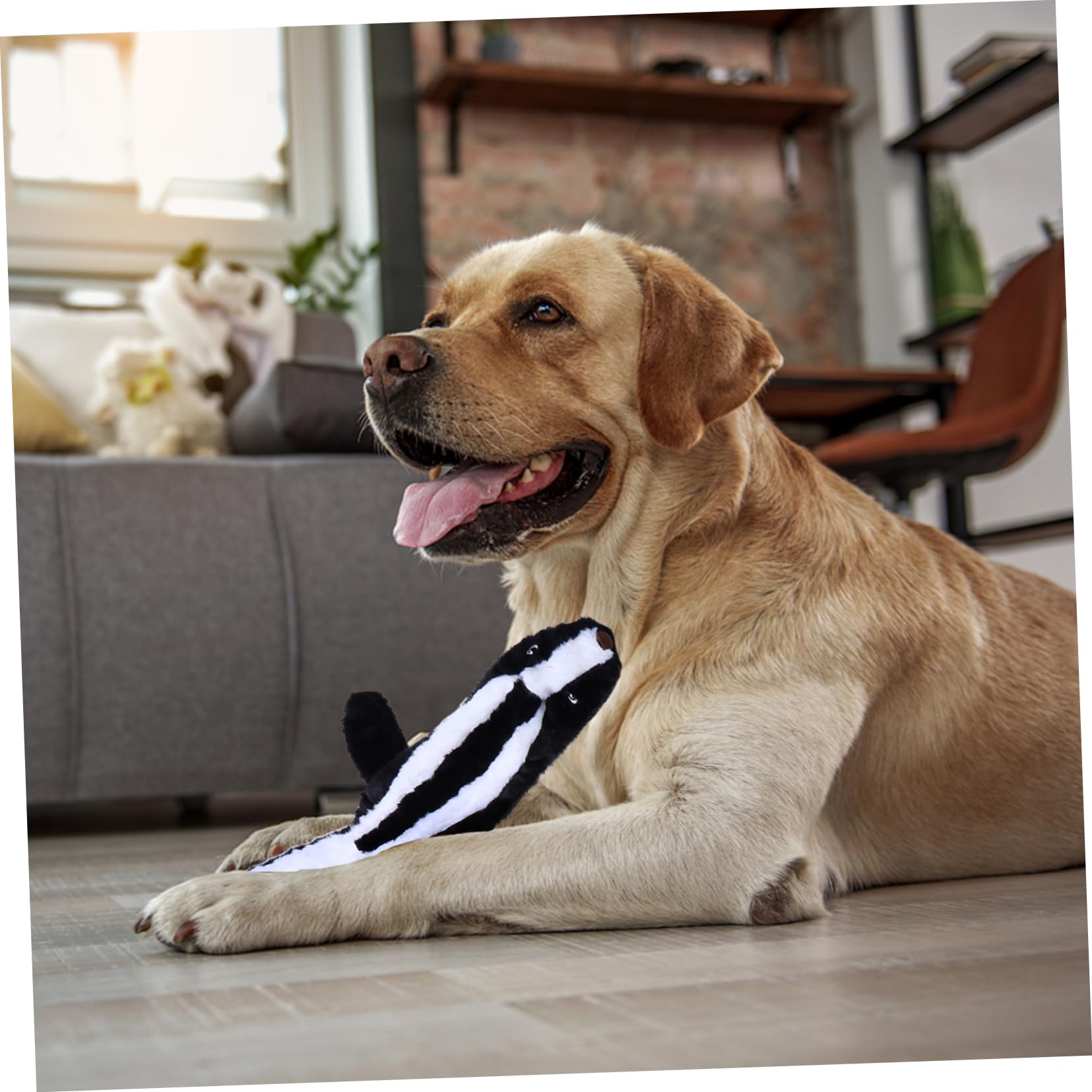 minkissy 6stücke Kauspielzeug Für Hunde Plüsch Molar Spielzeug Mit Geräuschfunktion Interaktives Kau Und Spielzeug Für Welpen Zur Zahnpflege Für Stundenlangen Spaß