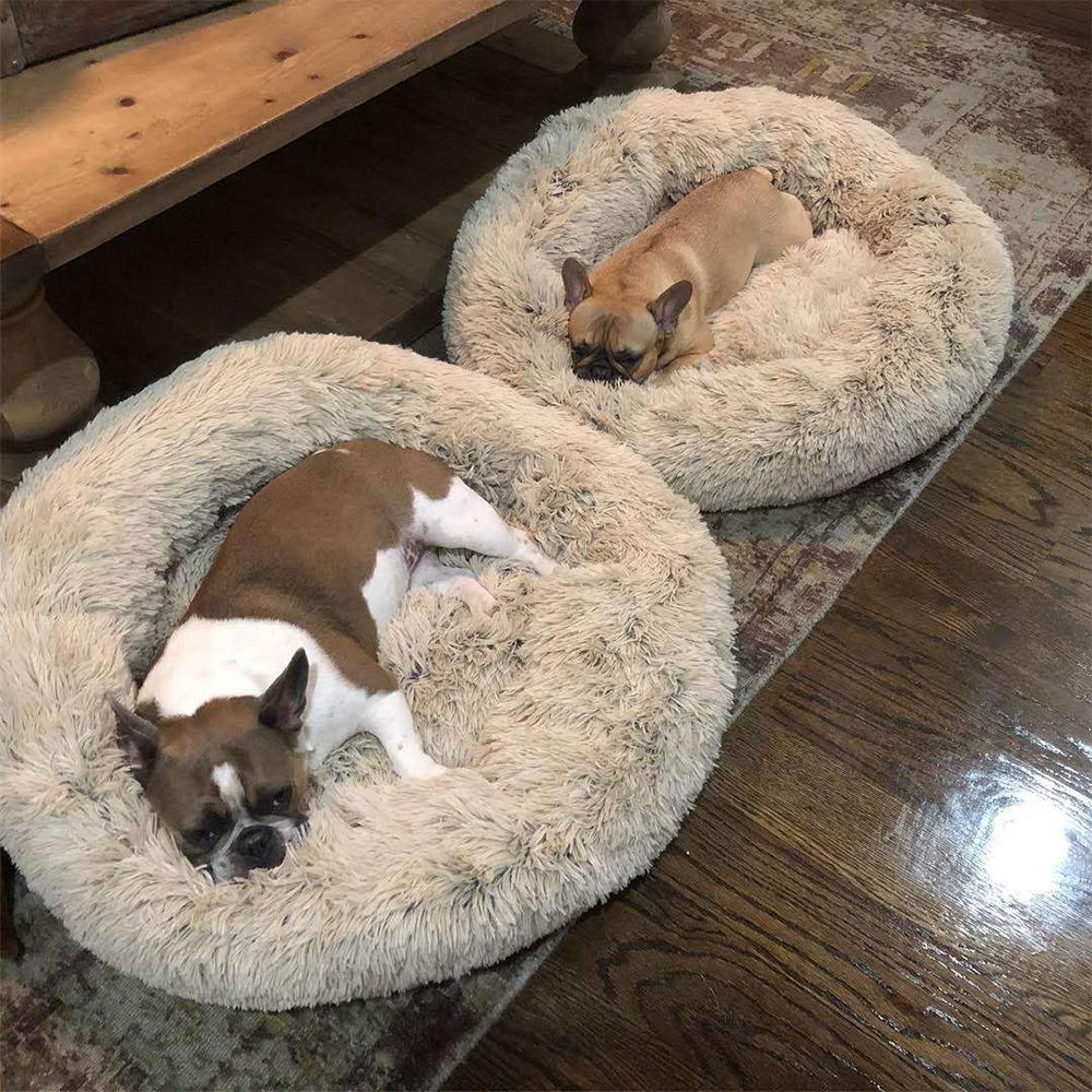 DUCHEN Donut Hundebett XXL 100 Cm – Weich, Kuschelig, Mit Erhöhtem Rand Für Große Hunde
