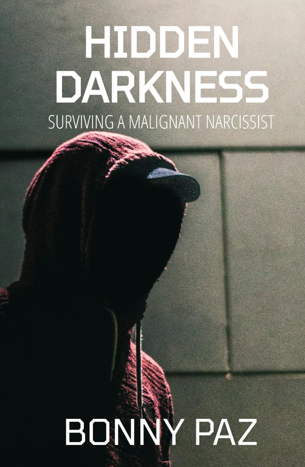 Hidden Darkness: Surviving a Malignant Narcissist (The Hidden Duology)