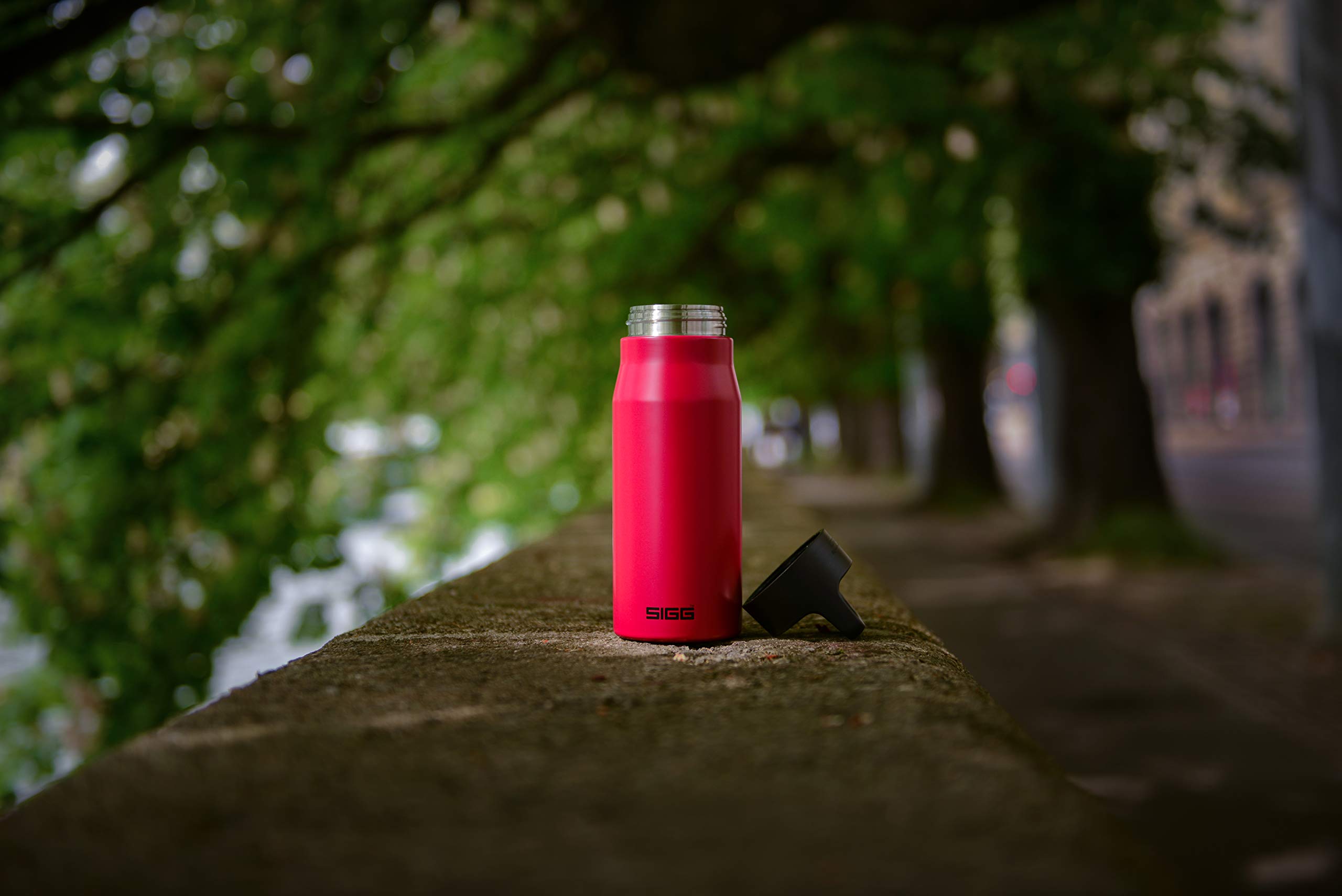 Sigg Explorer Gourde Inox (0,75 L), Gourde Étanche, Garantie sans Fuite et sans Produits Toxiques, Bouteille en Inox Robuste, Recyclable et sans Odeur