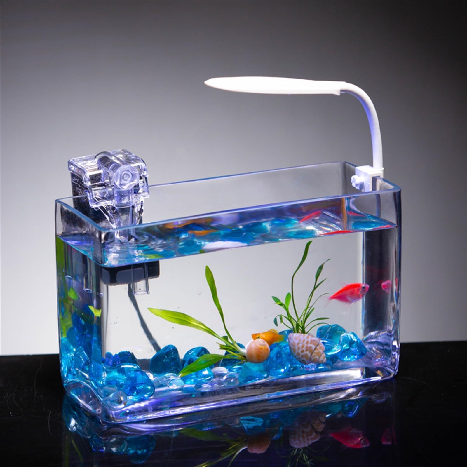 Acuario Acuario de Cristal for Sala de Estar, pequeño, Rectangular, Mini Acuario for el hogar, Acuario de Escritorio, Creativo, pez Luchador, Acuario de Peces Pecera